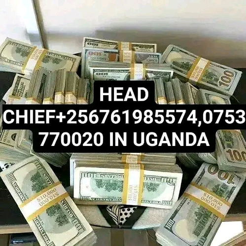1738859295198